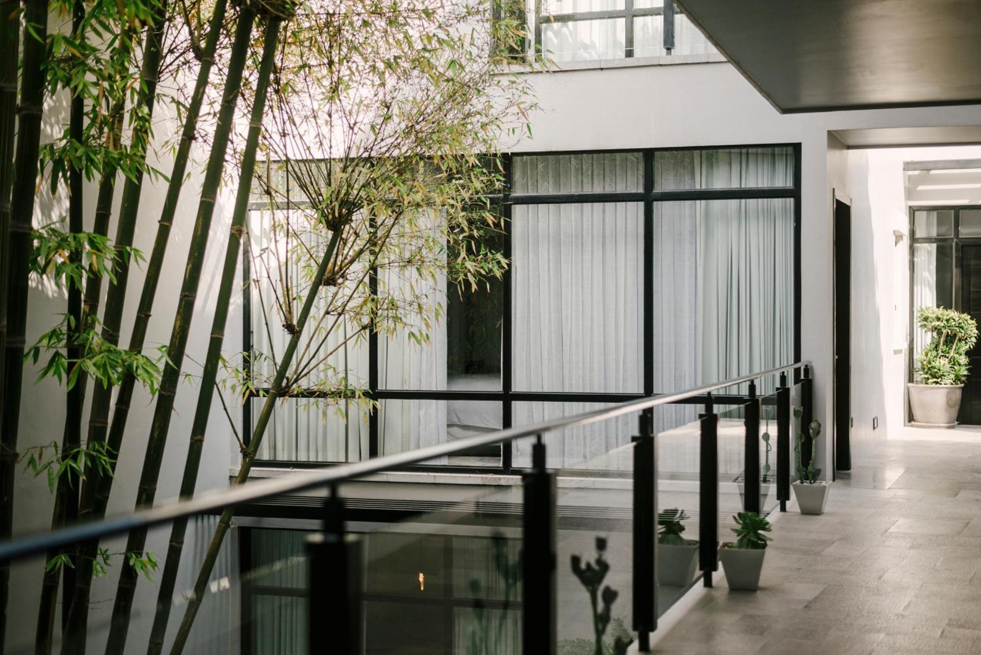 Hotel Matilda, A Member Of Design Hotels Σαν Μιγκέλ ντε Αγιέντε Εξωτερικό φωτογραφία
