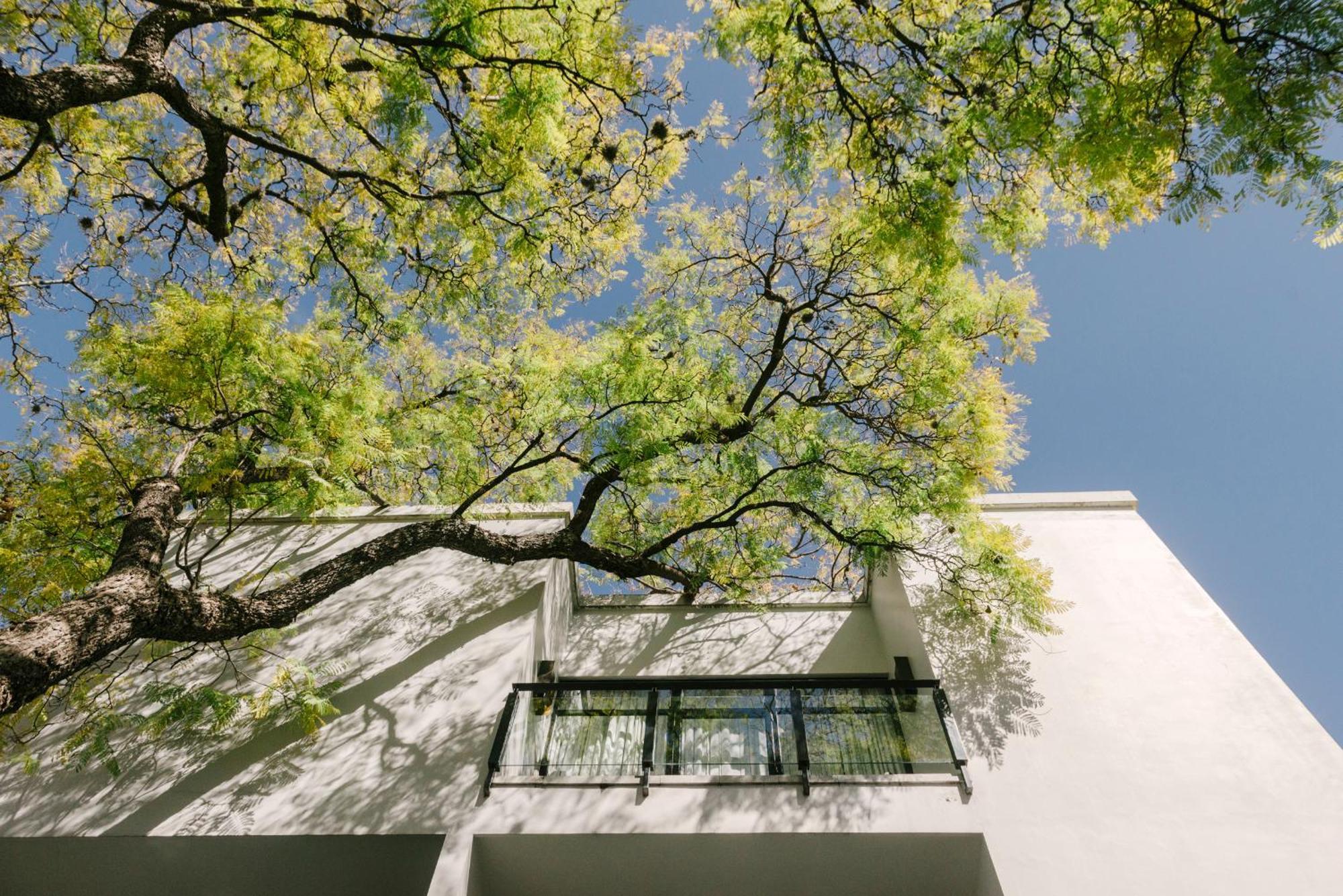 Hotel Matilda, A Member Of Design Hotels Σαν Μιγκέλ ντε Αγιέντε Εξωτερικό φωτογραφία